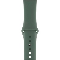 Ремінець Sport Band для Apple Watch 38/40/41mm Pine Green