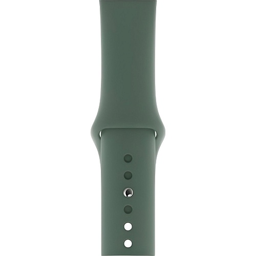 Ремешок Sport Band для Apple Watch 38/40/41mm Pine Green