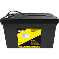 Аккумулятор LiitoKala LiFePO4 LCD 48V (48V/50Ah/2400Wh) (BMS 100A/50A)