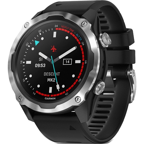 Смарт-часы Garmin Descent Mk2 Stainless Steel with Black Band (010-02132-00/10)