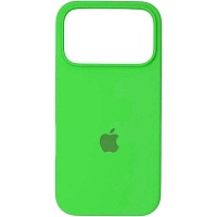 Чехол Silicone Case для Apple iPhone 17 Pro Max Shiny Green AA