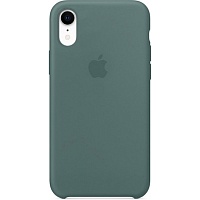 Чехол Silicone Case для Apple iPhone Xr (Pine Green) AAA