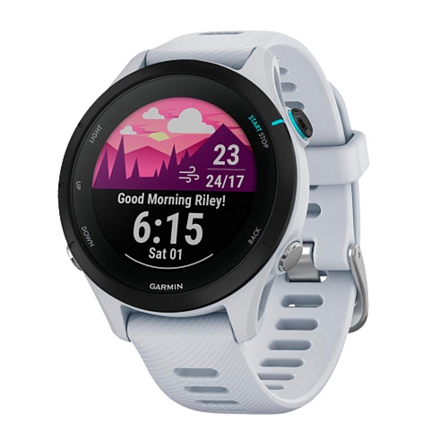 Смарт-часы Garmin Forerunner 255 Music Whitestone (010-02641-31)