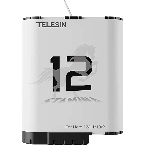 Акумулятор Telesin Stamina для GoPro Hero 12/11/10/9 (GP-HPB-012) - придбати в Дніпрі, Україні: ціна, характеристики | інтернет-магазин TOUCH