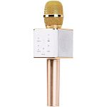 Мікрофон з караоке Wster Q7 Gold