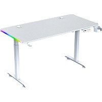 Компьютерный игровой стол GT Racer T-1231 (120x60x73-117) White