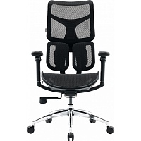 Офисное кресло Sihoo DORO S100 Mesh Black (S100-M301)