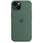 Чехол Silicone Case с MagSafe для Apple iPhone 13 (6.1) (Eucalyptus) ААА