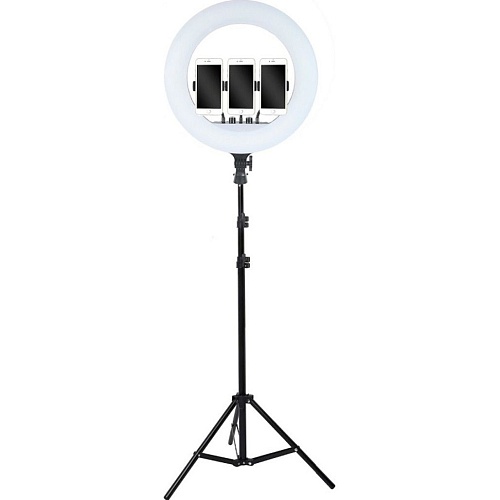 Кольцевая LED лампа AC Prof RL-18