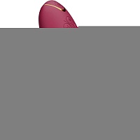 Вибратор Womanizer Duo 2 Bordeaux (SO8755)