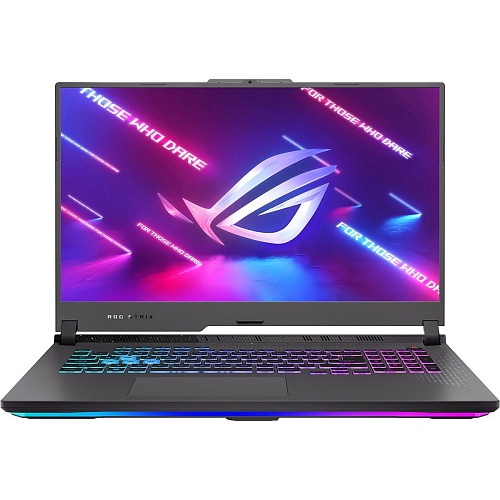 Ноутбук Asus ROG Strix G17 G713PV (G713PV-HX019W)