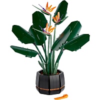 Конструктор LEGO Icons Райская птица (10289)