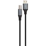 Кабель Cablexpert USB 2.0 AM/BM 3m (CCBP-USB2-AMBM-10)