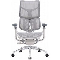Офисное кресло Sihoo DORO S300 Mesh Light Grey (S300-M202)