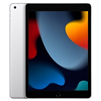Планшет Apple iPad 10.2" (9 Gen) 64GB Wi-Fi + Cellular Silver 2021 (MK493)