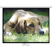 Проекционный экран Logan 77" (PRMC2)