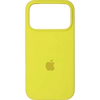Чехол Silicone Case для Apple iPhone 17 Pro Max Flash AA