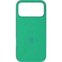 Чохол Silicone Case для Apple iPhone 17 Pro Spearmint AA - придбати в Дніпрі, Україні: ціна, характеристики | інтернет-магазин TOUCH
