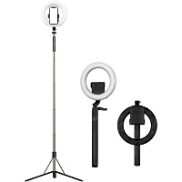 Кільцева LED лампа з моноподом-штативом AC Prof L06 21см - придбати в Дніпрі, Україні: ціна, характеристики | інтернет-магазин TOUCH Кільцева LED лампа з моноподом-штативом AC Prof L06 21см - придбати в Дніпрі, Україні: ціна, характеристики | інтернет-магазин TOUCH