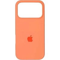 Чехол Silicone Case для Apple iPhone 17 Pro Max Papaya AA