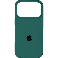 Чехол Silicone Case для Apple iPhone 17 Pro Pine Green AA