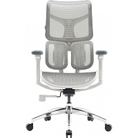 Офисное кресло Sihoo DORO S100 Mesh White (S100-M302)