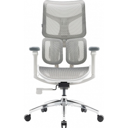 Офисное кресло Sihoo DORO S100 Mesh White (S100-M302)