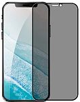 Защитное стекло iLera 2.5D Frosted Infinity Glass для Apple iPhone 12 Pro Max (iLFrIn1267)