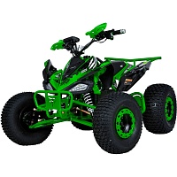 Электроквадроцикл Profi HB-EATV1000B-5 (MP3) Green