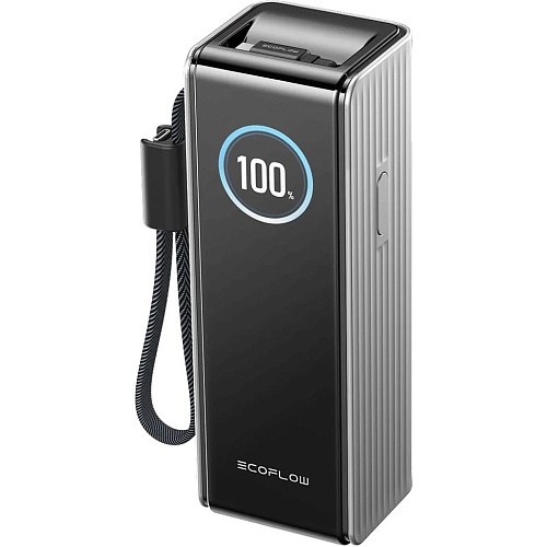 Внешний аккумулятор EcoFlow RAPID 25000mAh Silver (EF-RAPID25K100W-S-EU)