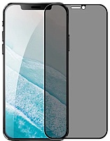 Защитное стекло iLera 2.5D Frosted Infinity Glass для Apple iPhone 12/12 Pro (iLFrln1261) Защитное стекло iLera 2.5D Frosted Infinity Glass для Apple iPhone 12/12 Pro (iLFrln1261)
