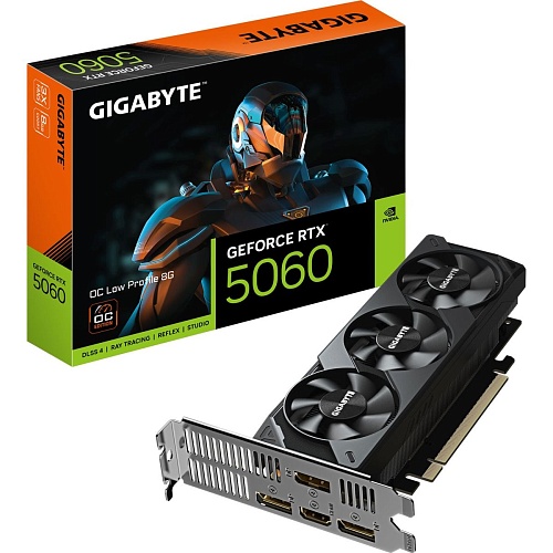 Відеокарта Gigabyte GeForce RTX 5060 OC Low Profile 8GВ (GV-N5060OC-8GL) EU - придбати в Дніпрі, Україні: ціна, характеристики | інтернет-магазин TOUCH