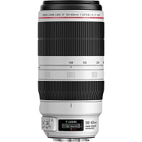 Объектив Canon EF 100-400mm f/4.5-5.6L II IS USM (9524B005)