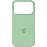 Чохол Silicone Case для Apple iPhone 17 Pro Mint AA - придбати в Дніпрі, Україні: ціна, характеристики | інтернет-магазин TOUCH