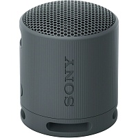 Портативная акустика Sony SRS-XB100 Black (SRSXB100B)