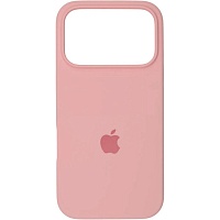 Чехол Silicone Case для Apple iPhone 17 Pro Max Dusty Pink AA