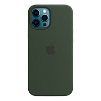 Чохол Silicone Case для Apple iPhone 12 Pro Max (Cyprus Green) АА