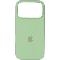 Чехол Silicone Case для Apple iPhone 17 Pro Max Avocado Green AA Чехол Silicone Case для Apple iPhone 17 Pro Max Avocado Green AA