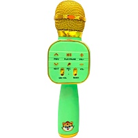 Микрофон с караоке Epik GDS006 Green