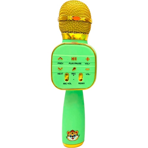 Микрофон с караоке Epik GDS006 Green