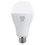 Світлодіодна лампа Voltronic LED Emergency Bulb A60 E27 20W (YT39393)