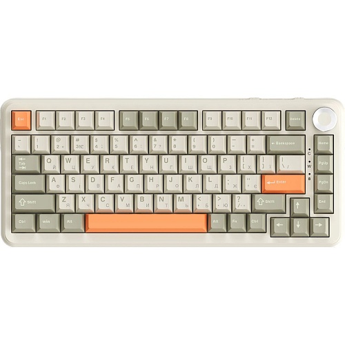 Клавіатура Ajazz AK820 MAX Flying Fish Switch Retro Colour (AK820MAX-FF-R) - придбати в Дніпрі, Україні: ціна, характеристики | інтернет-магазин TOUCH