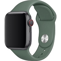 Ремінець DK Sport Band для Apple Watch 42/44/45/49mm Pine Green - придбати в Дніпрі, Україні: ціна, характеристики | інтернет-магазин TOUCH Ремінець DK Sport Band для Apple Watch 42/44/45/49mm Pine Green - придбати в Дніпрі, Україні: ціна, характеристики | інтернет-магазин TOUCH