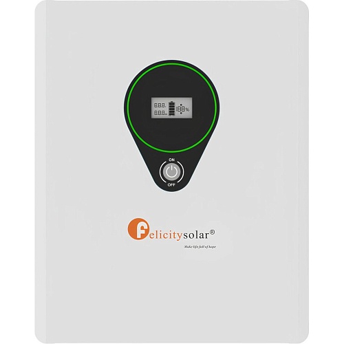 Аккумулятор FelicityESS LiFePO4 24V (25.6V/100Ah/2560Wh) (LPBF24100-M) 