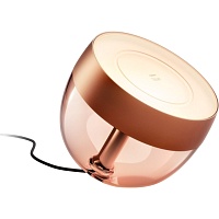 Нічник Philips Hue Iris Bronze (929002376801) - придбати в Дніпрі, Україні: ціна, характеристики | інтернет-магазин TOUCH Нічник Philips Hue Iris Bronze (929002376801) - придбати в Дніпрі, Україні: ціна, характеристики | інтернет-магазин TOUCH