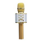 Мікрофон HOCO BK3 Cool Sound (Gold)