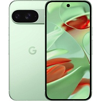 Смартфон Google Pixel 9 12/256GB Wintergreen Смартфон Google Pixel 9 12/256GB Wintergreen