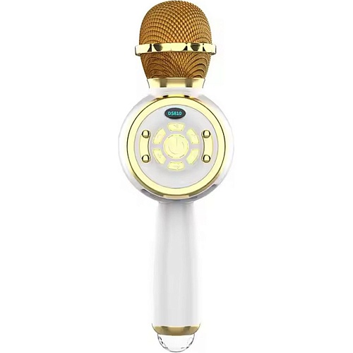 Микрофон с караоке Epik DS810 Gold