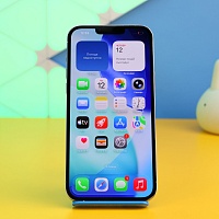 Смартфон Apple iPhone 13 Pro Max 256GB Silver (MLLC3) Б/У