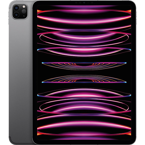 Планшет Apple iPad Pro 11 (2022) Wi-Fi + Cellular 256GB Space Gray (MP573)